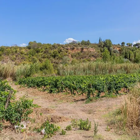 Semesterbostad In St Denis With Pool & Pyrenees View
