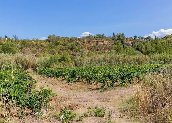 Semesterbostad In St Denis With Pool & Pyrenees View